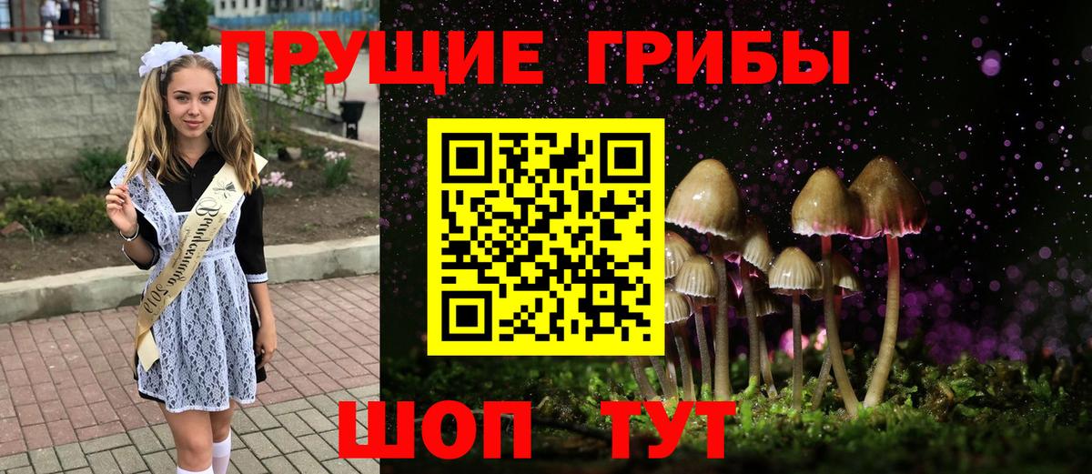 Галлюциногенные грибы Psilocybine cubensis Узловая